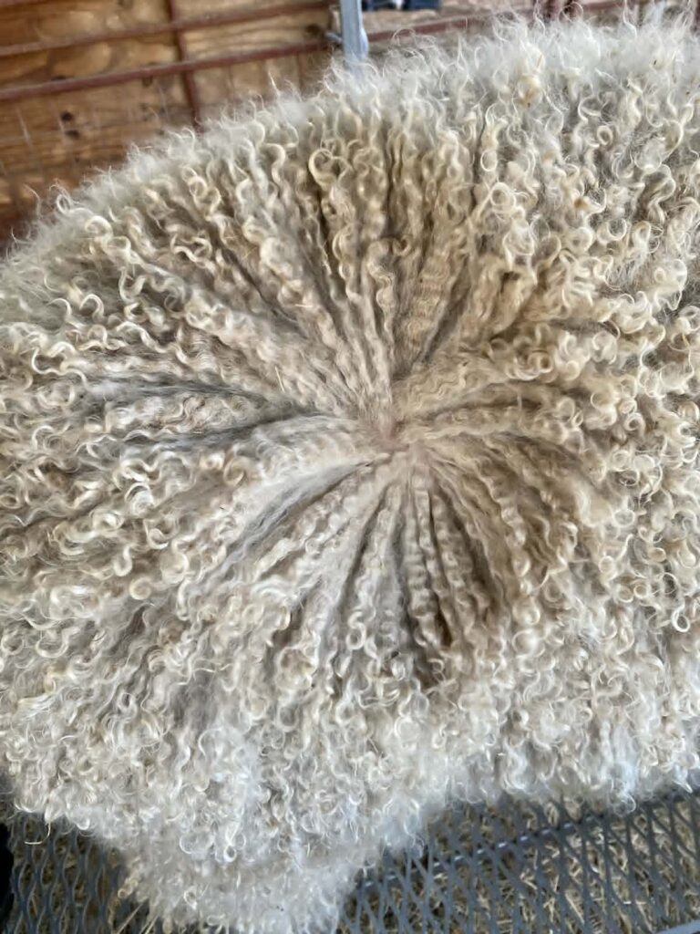 Quality Mohair
